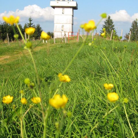Weitnau Alpkönigblick Quelle: Allgäuer Seenland 