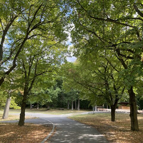 Queienfeld
© Gemeinde Grabfeld