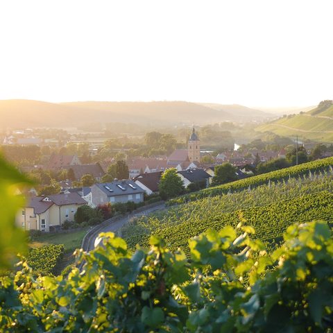 Sommerhausen Quelle: Tourist-Information Sommerhausen © Johannes Romeyke