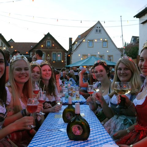 
Straßenweinfest der TSG Sommerhausen Bildrecht: Johannes Romeyke
