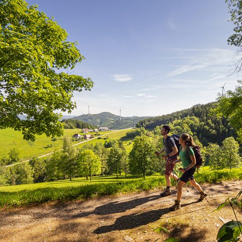 ZweiTälerLand - Wandern auf dem ZweiTälerSteig / Copyright: Patrick Kunkel
