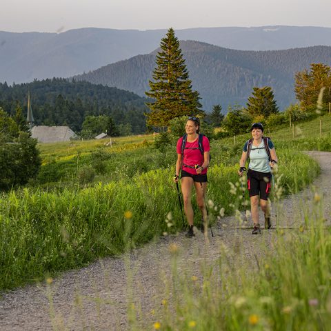 ZweiTälerLand - Wandern auf dem ZweiTälerSteig / Copyright: Patrick Kunkel