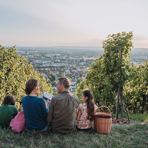 Wartberg Wein Panorama Weg Familie: Heilbronn Marketing GmbH/Christoph Düpper