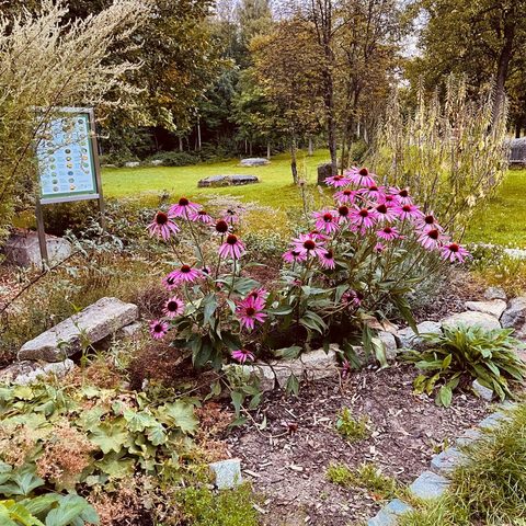 Kräutergarten Weißenstad © Stadt Weißenstadt