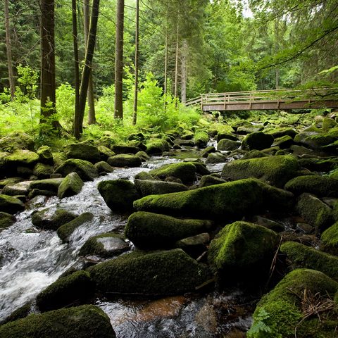 Waldkirche Saussbachklamm ©  Foto Tourismusbuero Waldkirchen Quelle: Tourismusverband Ostbayern e.V.