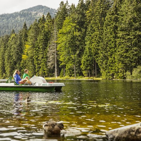 Tretbootfahren am Großen Arbersee © Tourismusverband Ostbayern e.V.-Fotograf Andreas Meyer Quelle: Tourismusverband Ostbayern e.V.