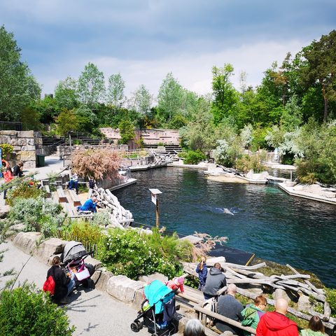 Tiergarten Nürnberg Fotograf: Detlef Danitz