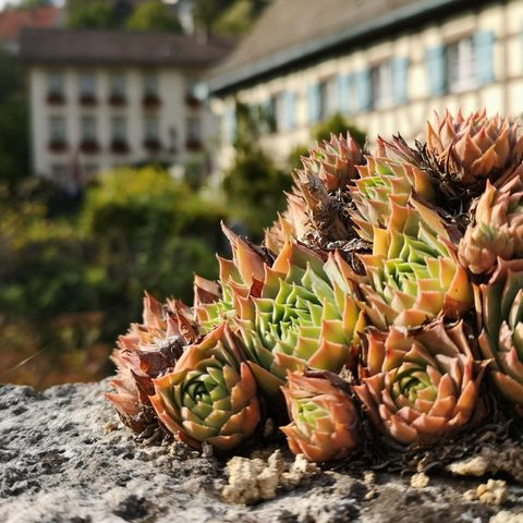 Egloffstein Fotograf: Detlef Danitz