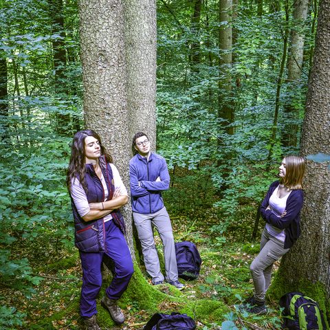 Waldbaden Copyrigh: Tourismusverband Liebliches Taubertal / Peter Frischmuth