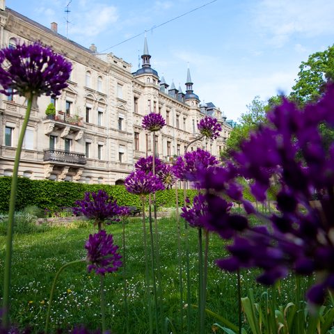 Hornschuchpromenade © Tourist-Information Fürth / Erich Malter