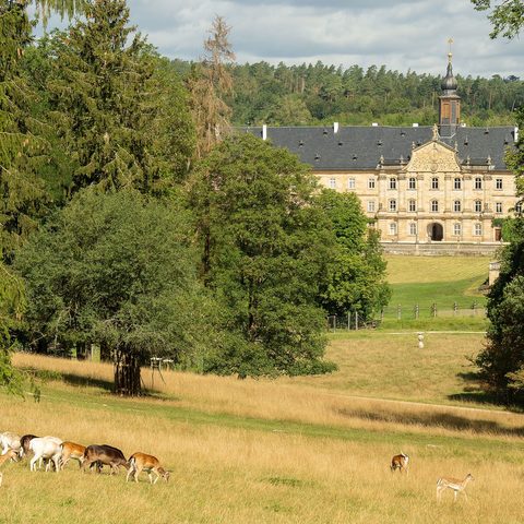 Wildpark Tambach Quelle: Gemeinde Weitramsdorf
