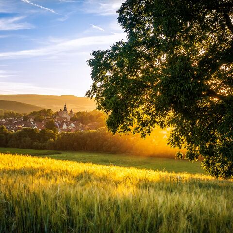Ostheim vom Büchig aus © Stefan Thomas Stadt  Ostheim v. d. Rhön