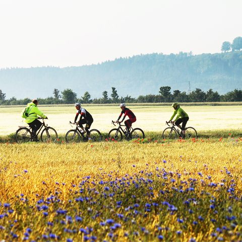 Radlgenuss Ebensfeld – Bildrechte Gemeinde Ebensfeld – Foto Birgid Röder