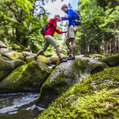Butterfass © Oberpfälzer Wald - Landkreis Tirschenreuth