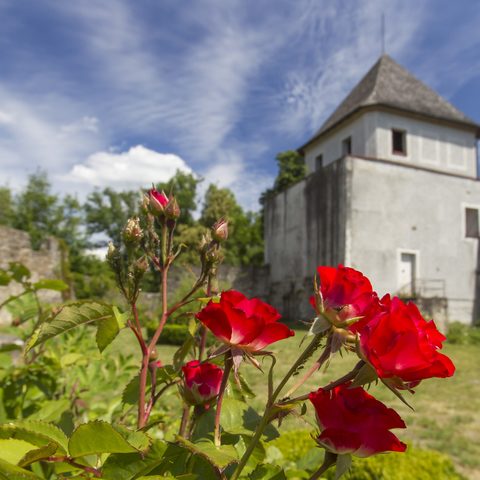 Burgruine Natternberg © Foto: Stadt Deggendorf Quelle: Tourismusverbandes Ostbayern e.V.