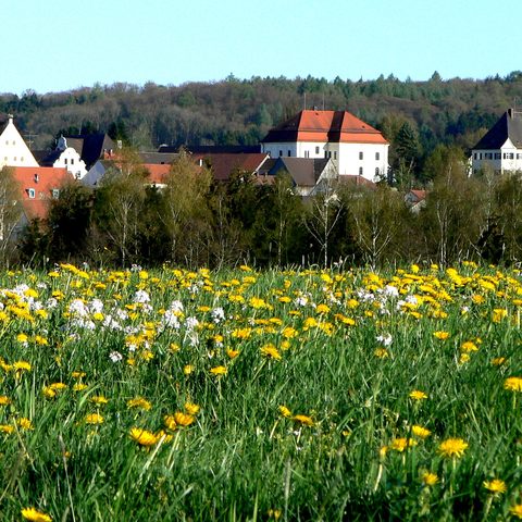 Ortsansicht Zusmarshausen von Westen Fotograf Max Trometer Quelle: Markt Zusmarshausen 