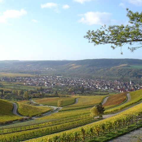 Thüngersheim Quelle: Gemeinde Thüngersheim Fotograf: Rainer Seidenspinner.