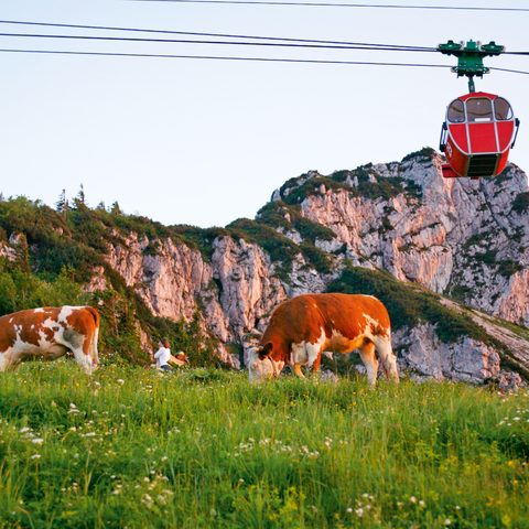 Prien am Chiemsee - Kampenbahn / Copyright: Prien Marketing GmbH/Paul Mayall