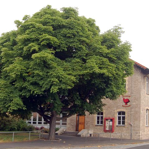 Museum Quelle: Gemeinde Segnitz