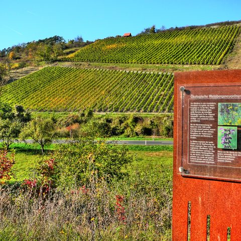 Retzstadt Quelle: Reinhold Meurer - Tourismusbeauftragte der Gemeinde Retzstadt