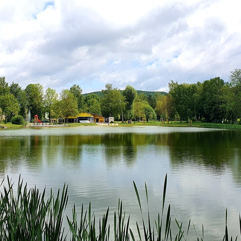 Naturbad Altenveldorf © Stadt Velburg / Foto André Queissner