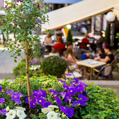 Marktplatz Innenstadt Foto Mathias Rath © Bildrechte Stadt Bad Brückenau Tourist Information