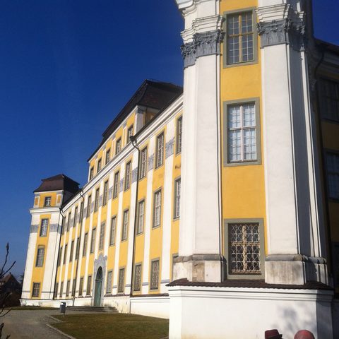 Tettnang Bodensee FotogDetlef Danithz