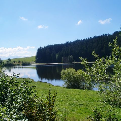 Buchenberg Eschacher Weiher © Leo Schubert Quelle: Allgäuer Seenland 