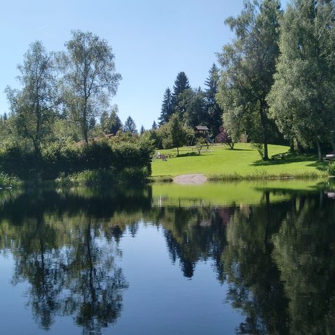 Buchenberg Moorweiher Quelle: Allgäuer Seenland 