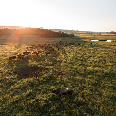 Hutelandschaft Rodachaue 
© Magictiron im Auftrag der Tourismusregion Coburg.Rennsteig