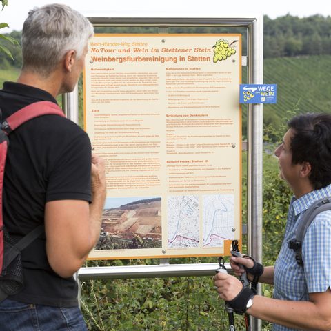 Weinwanderweg  © Stadt Karlstadt