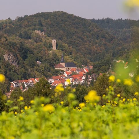 Stadtportrait Foto: Touristinfo Bad Berneck Fotograf: Florian Fraaß