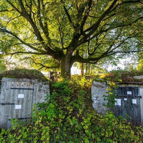 Keller  © Stadt Weißenstadt