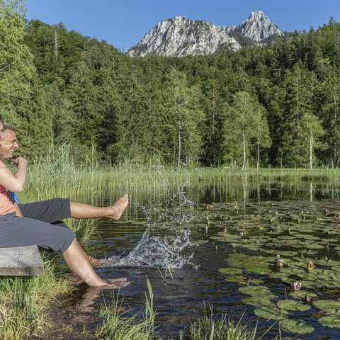 Königsalpen Route Schwanseepark © Peter von Felbert