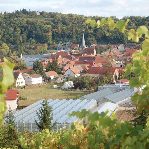 Segnitz Quelle: Gemeinde Segnitz