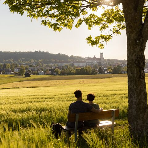 Schelmenheide
Bildrechte: Louis Zuchtriegel
Quelle: Touristikamt Kur & Kultur Ottobeuren