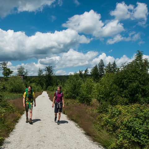 TZ Fichtelgebirge / Florian Manhardt