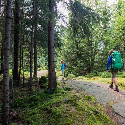 TZ Fichtelgebirge / Florian Manhardt