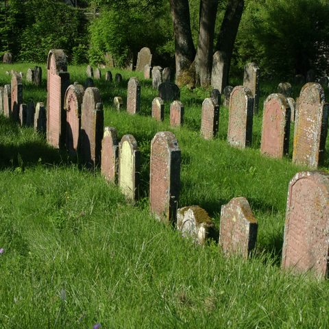 Eindrucksvoller jüdischer Friedhof Quelle: Stadt Lauda-Königshofen Fotograf: Dieter_Göbel