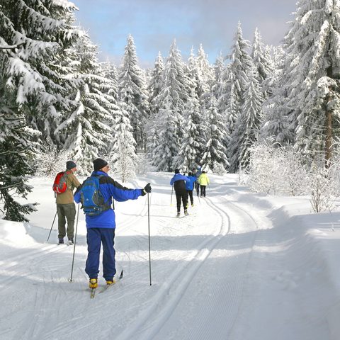 Deggendorf Langlaeufer Foto Stadt Deggendorf Quelle: Tourismusverbandes Ostbayern e.V.