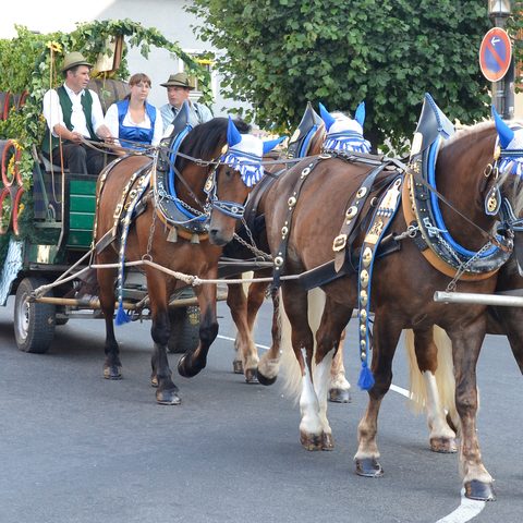 Volksfest © Manfred Arbesmeier Quelle: Tourist-Information Riedenburg