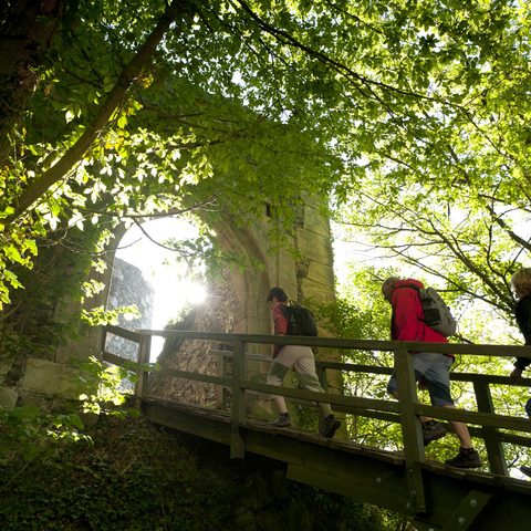 Burgruine Foto: Touristinfo Bad Berneck Fotograf: Florian Fraaß