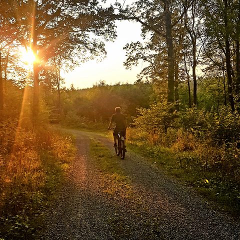 Rad Sonnenuntergang Quelle: Stadt Laud-Königshofen / Kamala_Börnge
