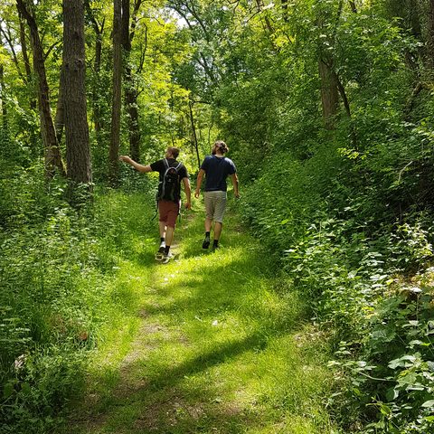 Wanderer Panoramaweg Quelle: Stadt Laud-Königshofen / Kamala_Börnge
