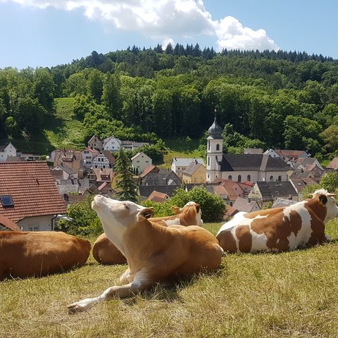 Idylle Oberlauda Quelle: Stadt Laud-Königshofen / Kamala_Börnge