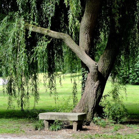 Schlosspark Wiesentheid Bildrechte: Marktgemeinde Wiesentheid