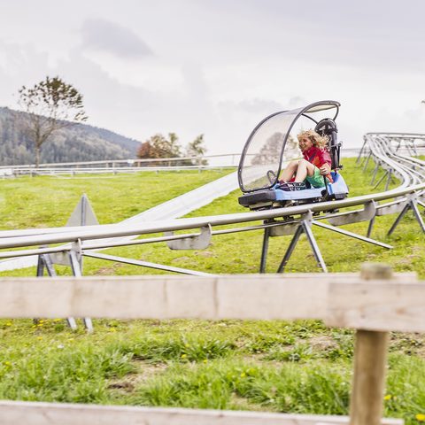 Sommerrodelbahn Sankt Englmar © Tourismusverband Ostbayern e.V.