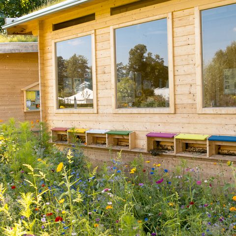 Bienenhaus auf der Jungviehweide Quelle: Stadt Illertissen 