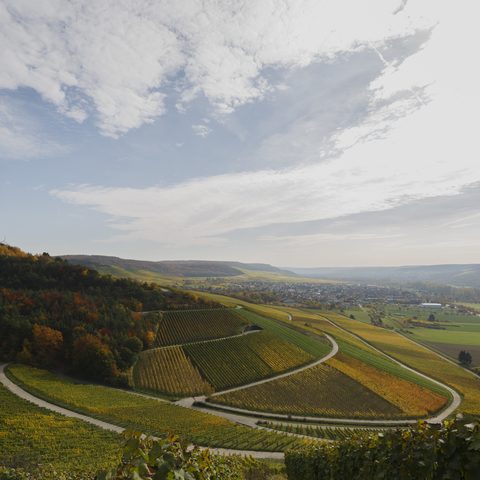 Thüngersheim Quelle: Gemeinde Thüngersheim Fotograf: Florian Hammerich 