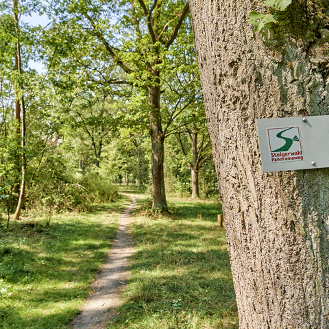 Bad Windsheim © Steigerwald Tourismus e.V. / Fotograf Florian Trykowski